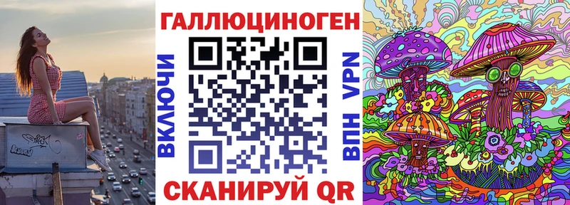 Купить где  Краснознаменск  Галлюциногенные грибы Psilocybe 